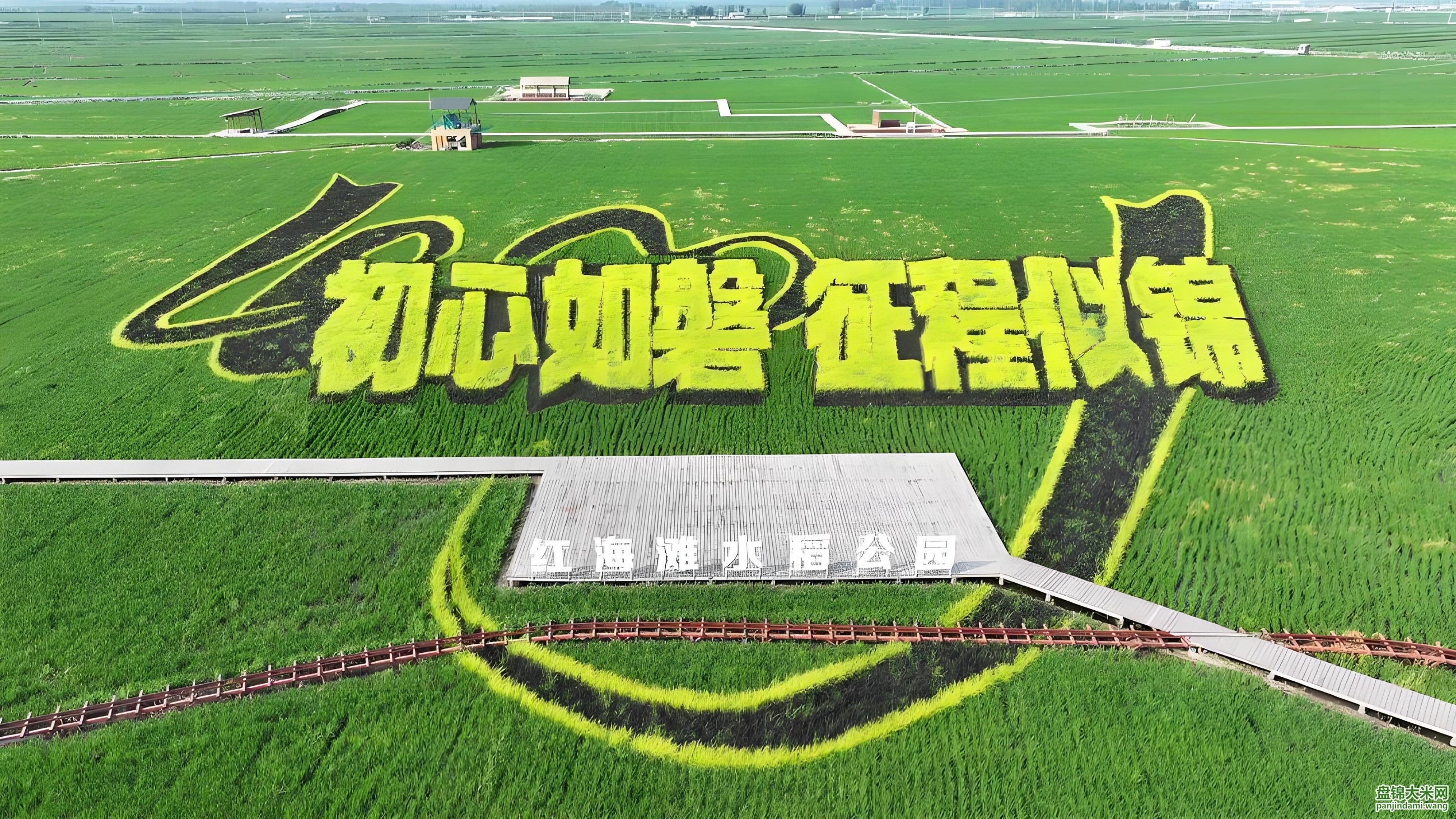 盘锦大米网 盘锦大米网