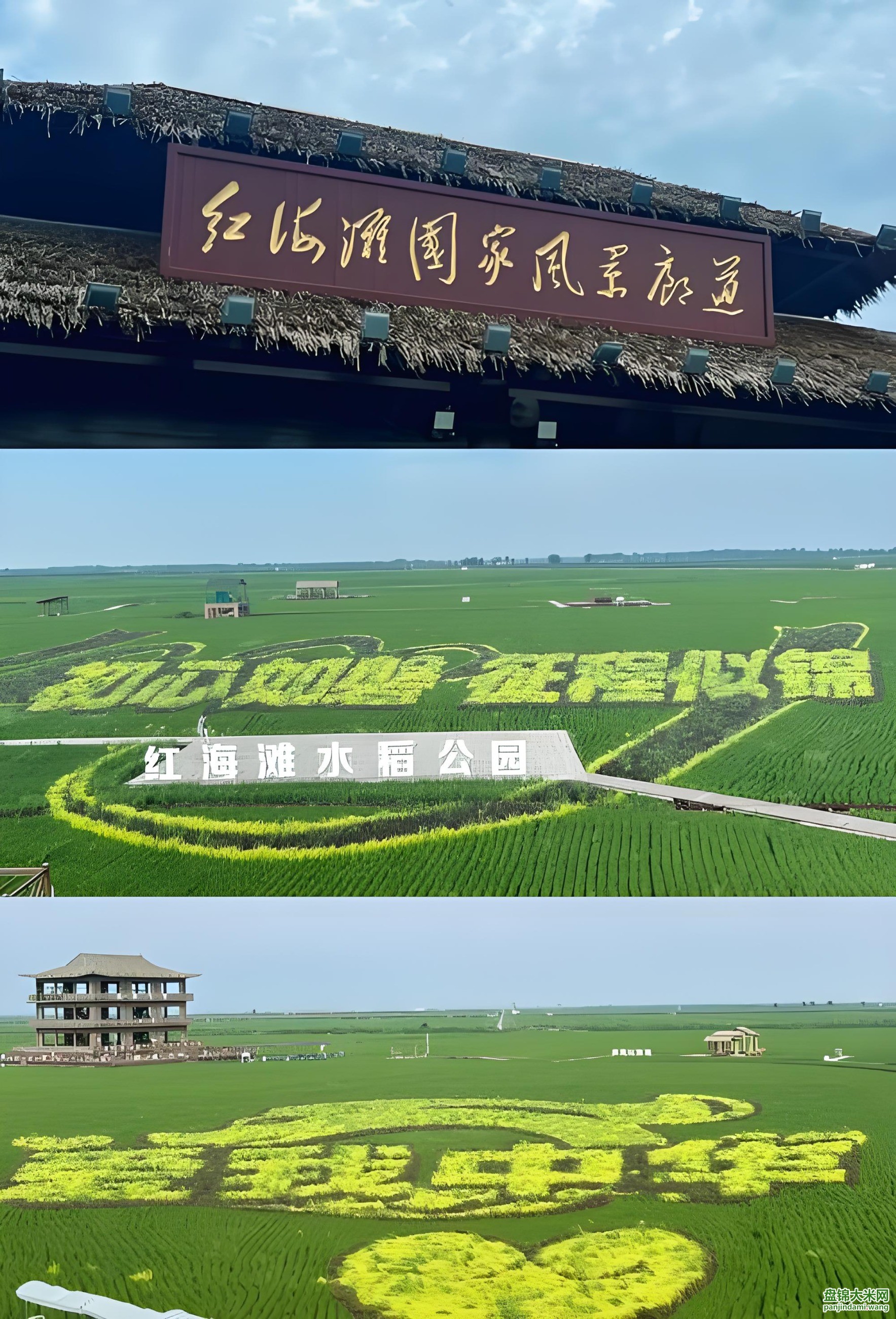 盘锦大米网 盘锦大米网